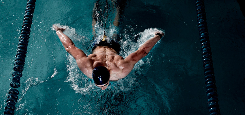 tendencia phelps google